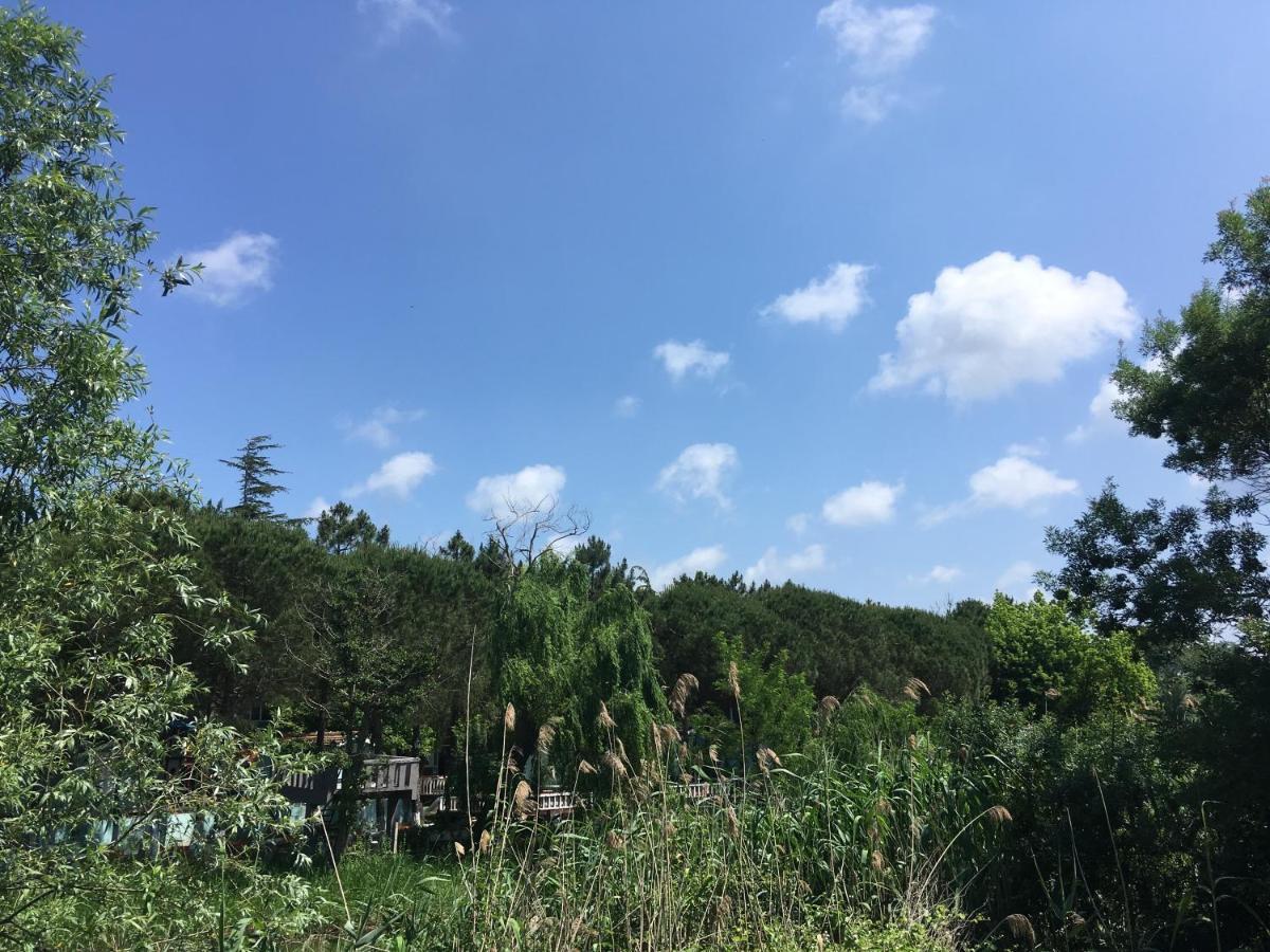 Shila Doert Mevsim Tatil Koyu Hotel Sile Exterior photo